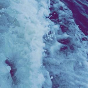 Meet your Posher, Alexia